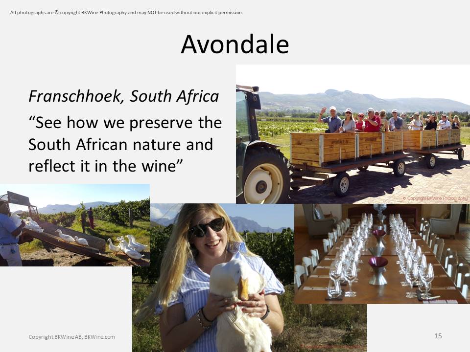 Avondale, Franschhoek, Sydafrika