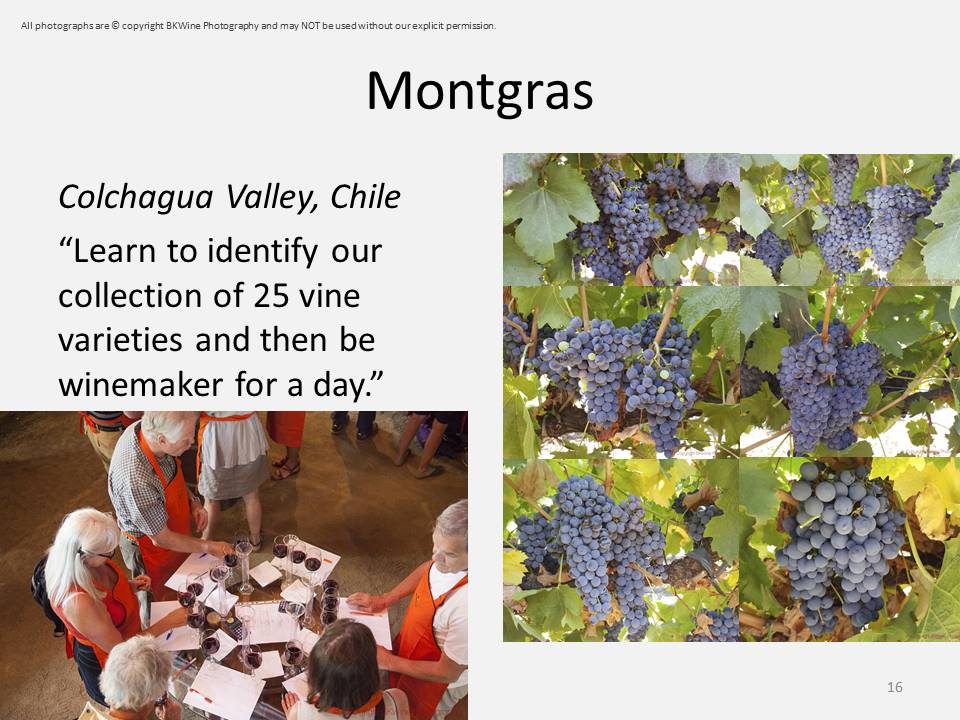 Montgras, Colchagua, Chile