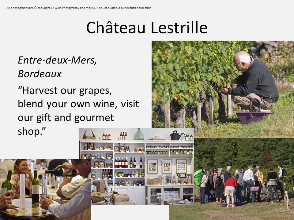 Chateau Lestrille, Entre-deux-Mers, Bordeaux