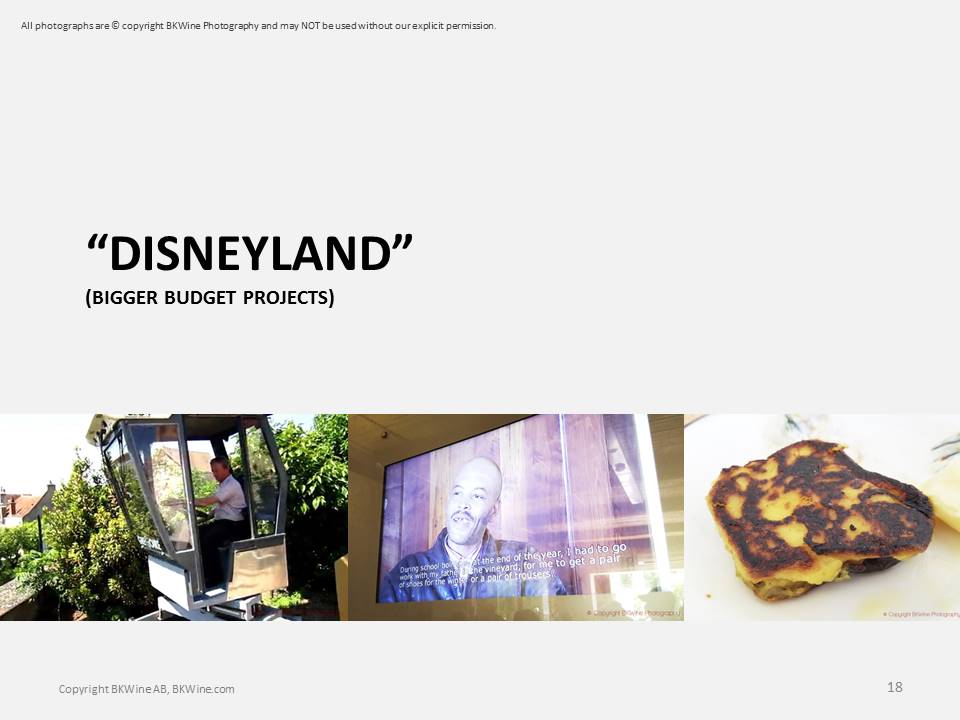 "Disneyland"-vinturism