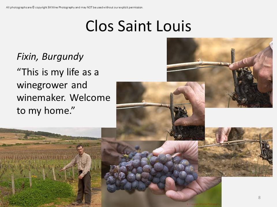 Clos Saint Louis, Fixin, Bourgogne