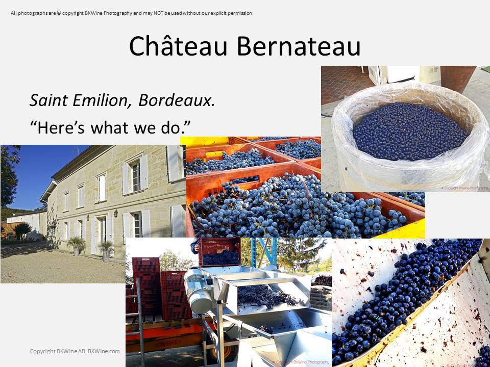 Chateau Bernateau, Saint Emilion, Bordeaux