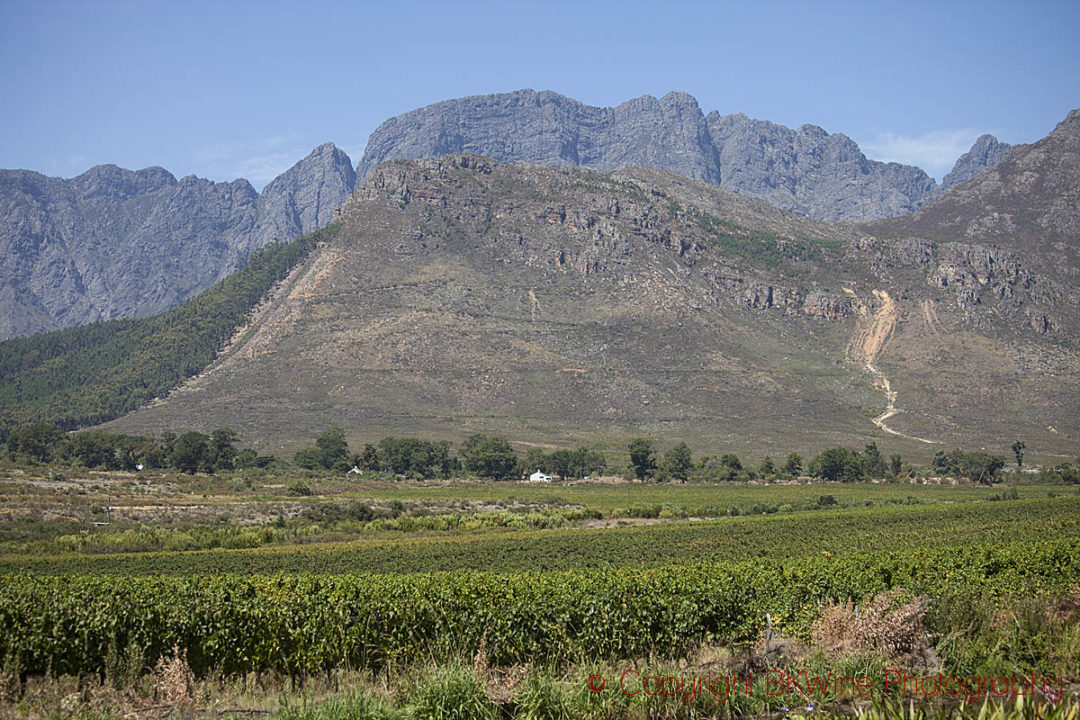 Glenwood Vineyards berg och vingårdar, Franschhoek