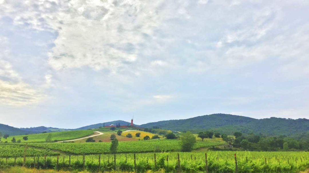 Vingården Rocca di Frassinello i Maremma