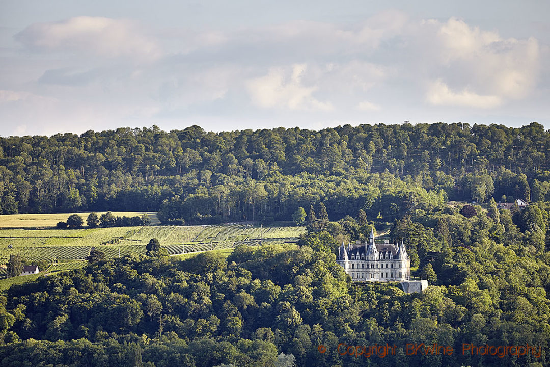 Chateau de Boursault i Vallée de la Marne, Champagne