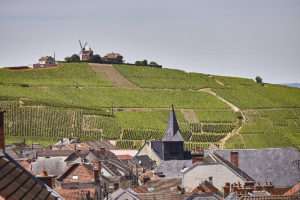 Väderkvarnen i Verzenay, Montagne de Reims, Champagne