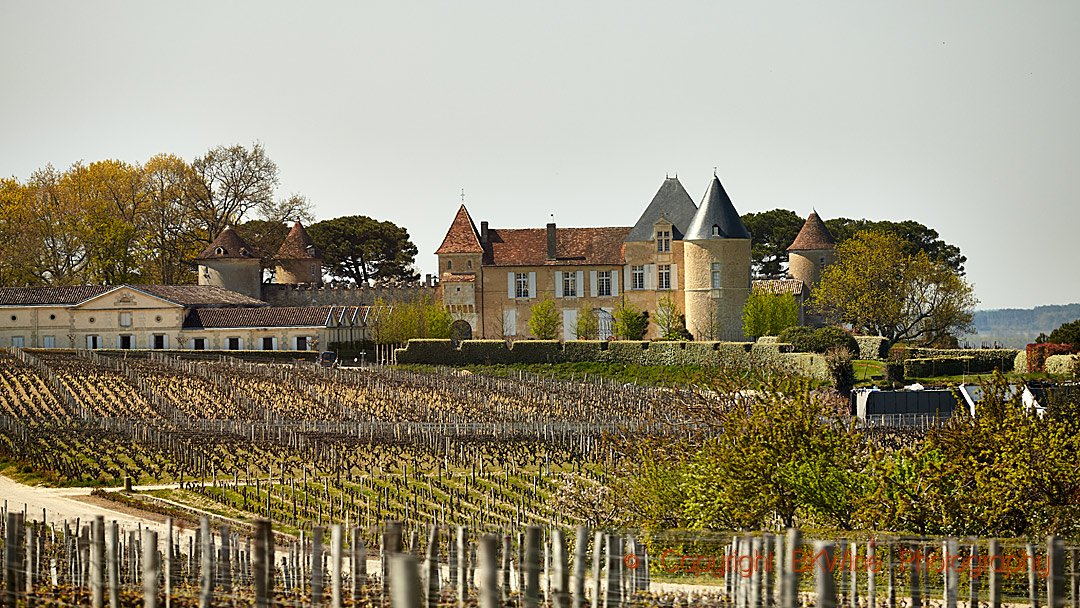 Chateau d'Yquem, Sauternes, Bordeaux