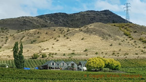 Vingården Felton Road i Central Otago, Nya Zeeland