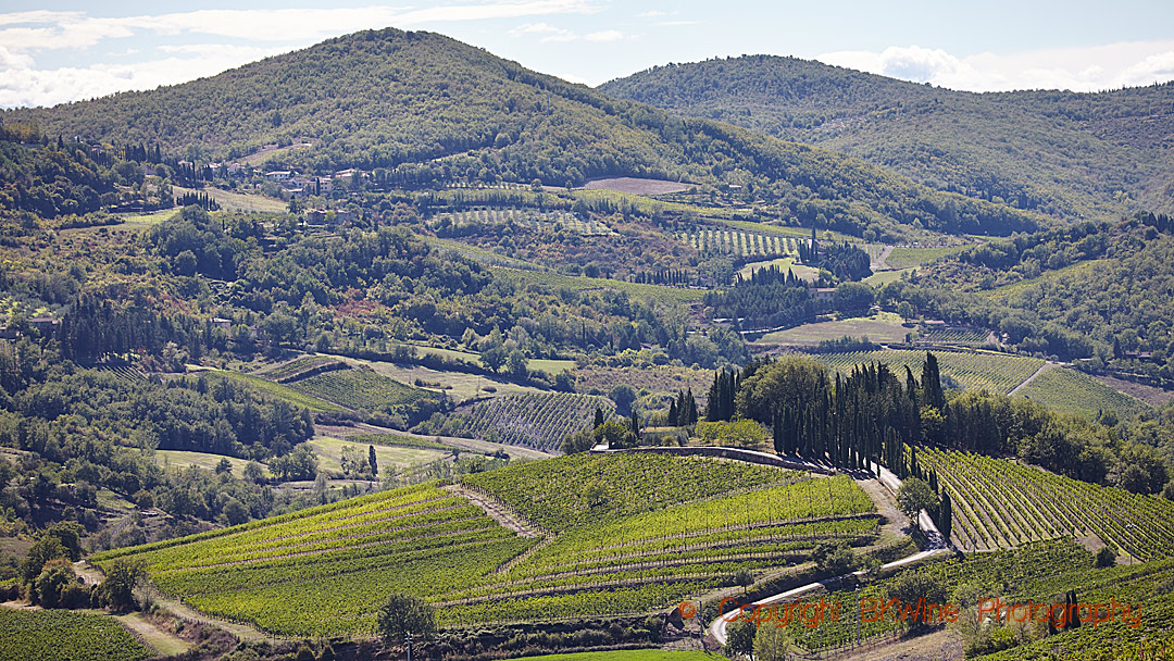 Vingårdar och kullar i landskapet i Toscana