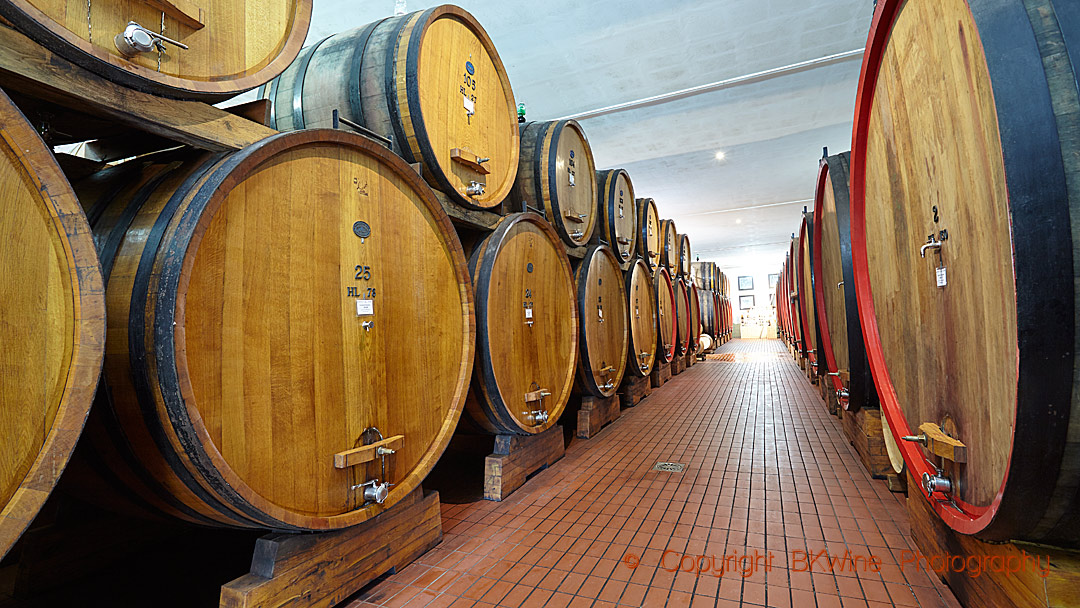 Stora botti i en vinkällare i Toscana