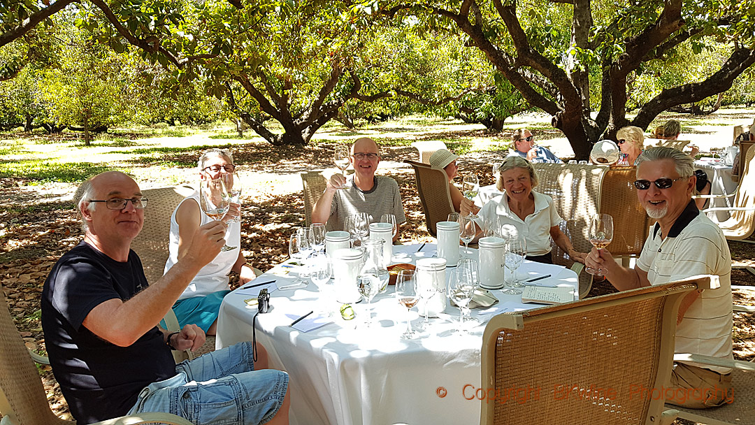 Njuter av lunchen i vingården under avokadoträdet i Colchagua i Chile