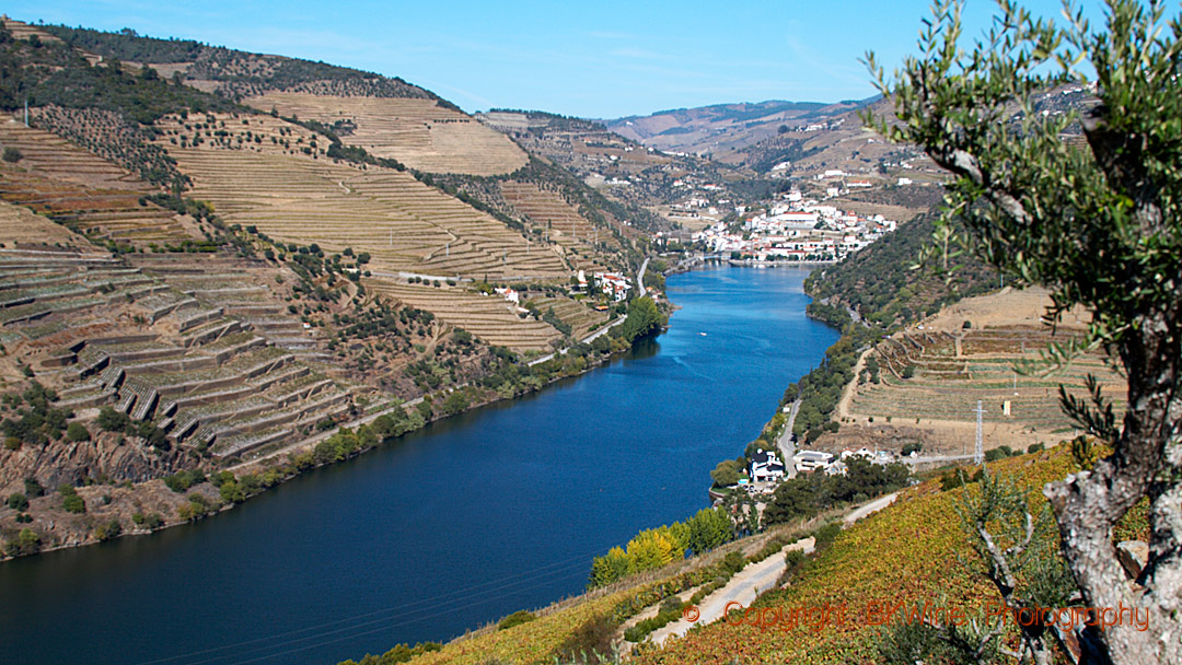 Landskap i Douro, med terrasser och vingårdar och Pinhao