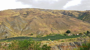 Vingårdar och landskap i Central Otago, Nya Zeeland