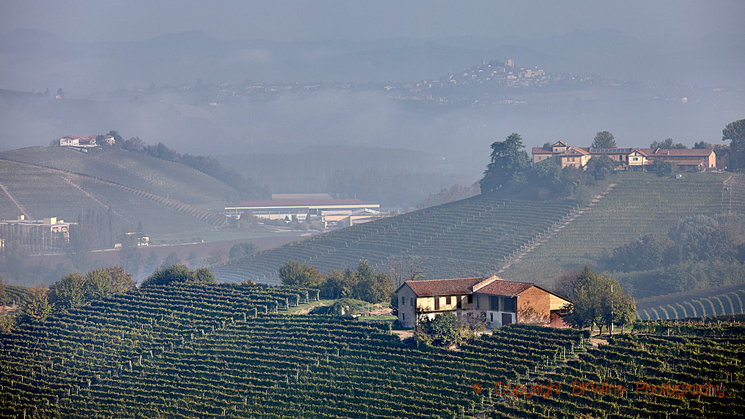 Landskap och vingårdar i Piemonte