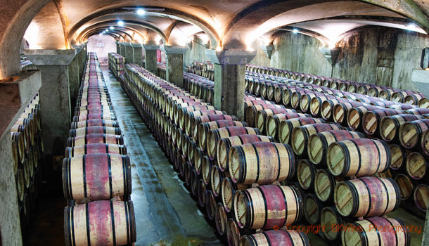 Ekfatskällaren på ett chateau i Margaux, Medoc, Bordeaux