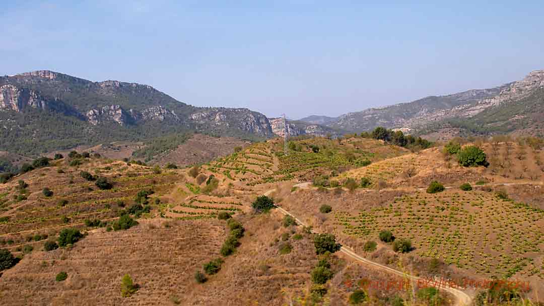 Vingårdar på höga berg i Priorat, Katalonien