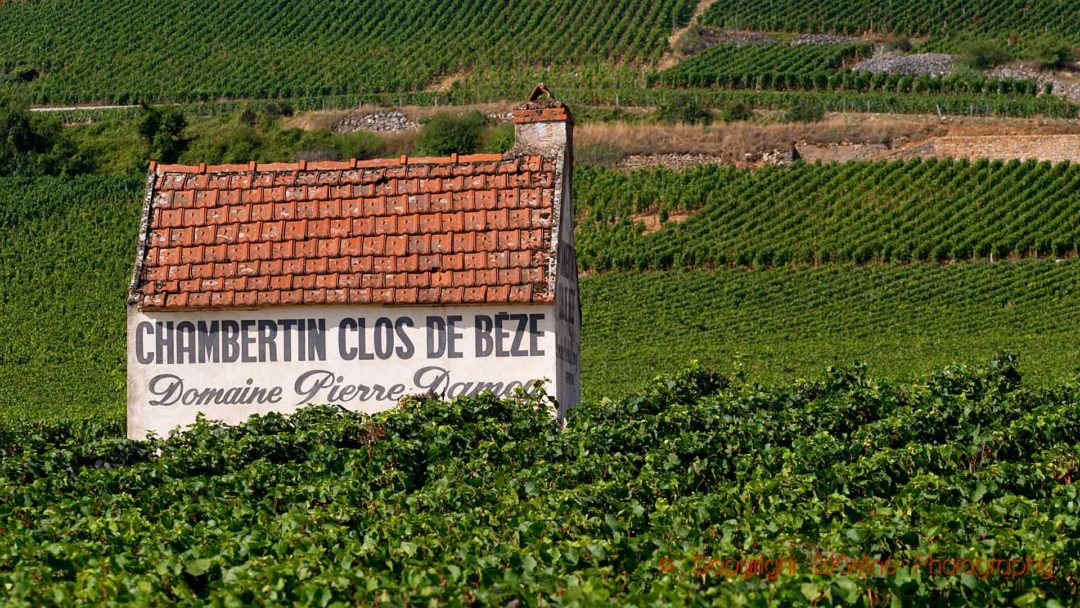 En stuga i vingården i Chambertin i Bourgogne