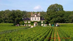 Ett vackert hus bland vingårdarna i Bourgogne