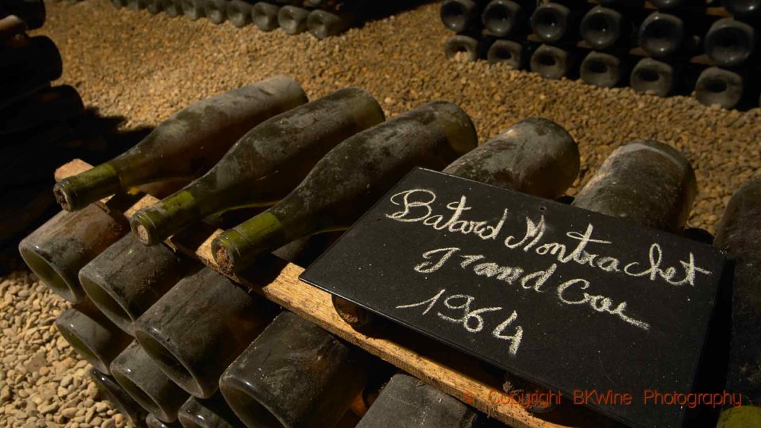 Gamla flaskor Batard Montrachet Grand Cru 1964 i en källare in Bourgogne