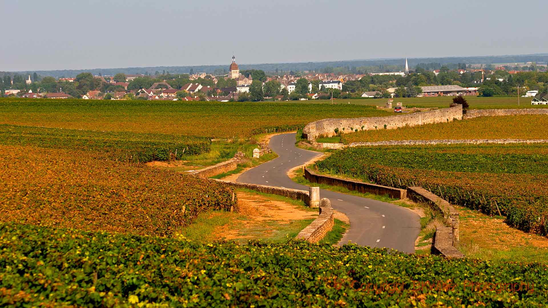 En landsväg genom vinfälten mot Beaune i Bourgogne