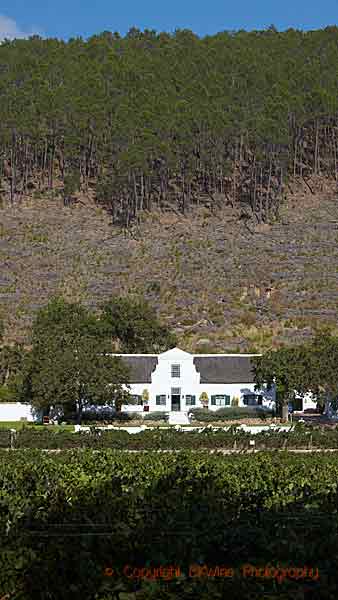 En vingård i Cape Dutch-stil i Franschhoek