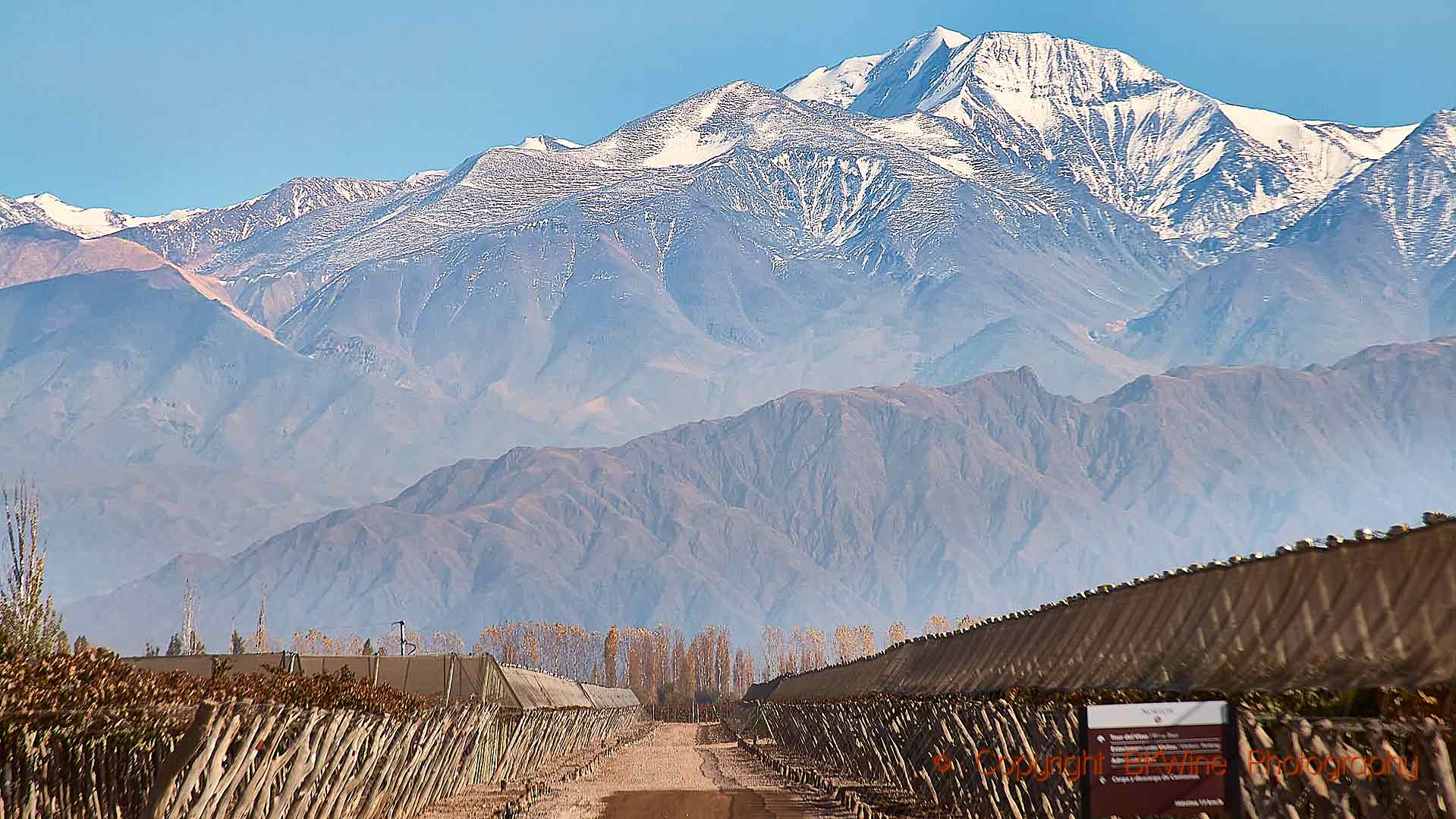 Andernas snöklädda toppar bortom en vingård i Mendoza, Argentina