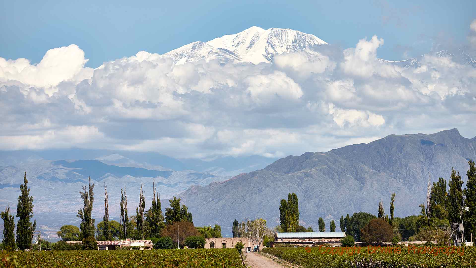 Från Mendozas vingårdar i Argentina ser man många av Andernas toppar