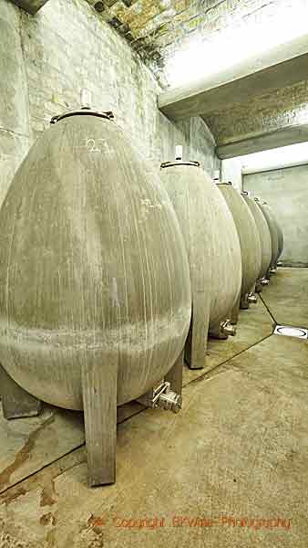 Äggtankar i betong på en vingård i Franschhoek
