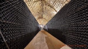 Tusentals flaskor vilar i en källare i Champagne