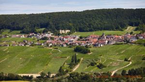 En by och vingårdar på en sluttning i Champagne