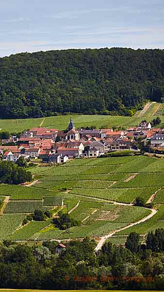 En by och vingårdar på en sluttning i Champagne