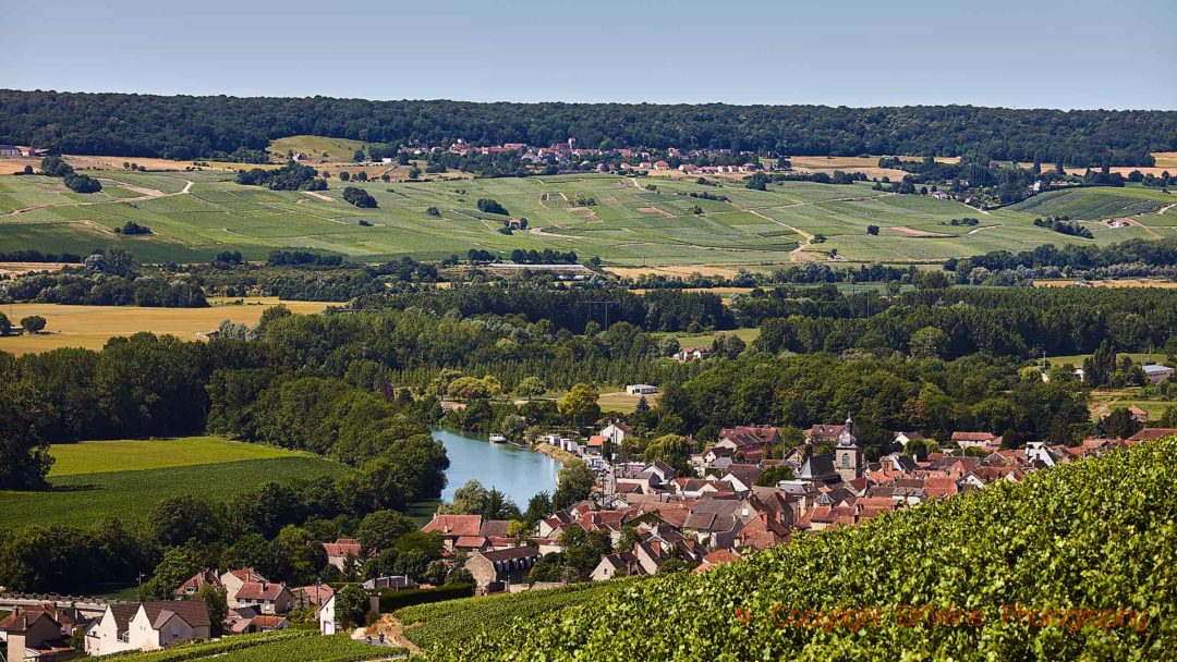En by och vingårdar längs med floden Marne i Champagne