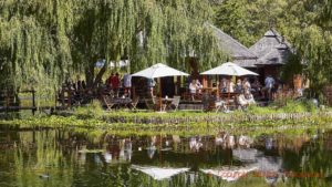 En restaurang på en vingård i Stellenbosch