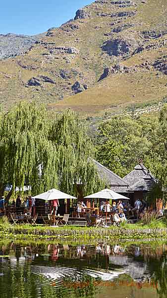 En restaurang på en vingård i Stellenbosch