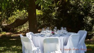 Dags för lunch och vinprovning i trädgården i Chile
