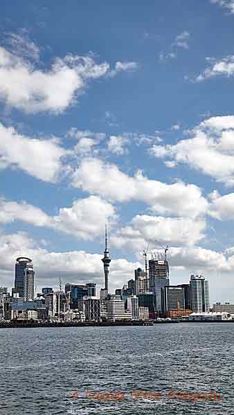Aucklands skyline