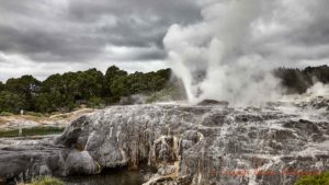 Gejsrar och svavelkällor i Rotorua