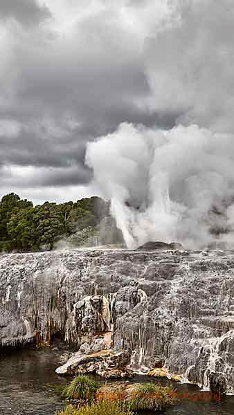 Gejsrar och svavelkällor i Rotorua