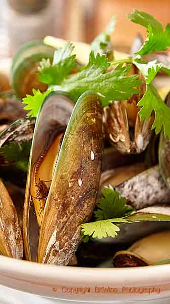 De unika grönkantade musslorna i Nya Zeeland