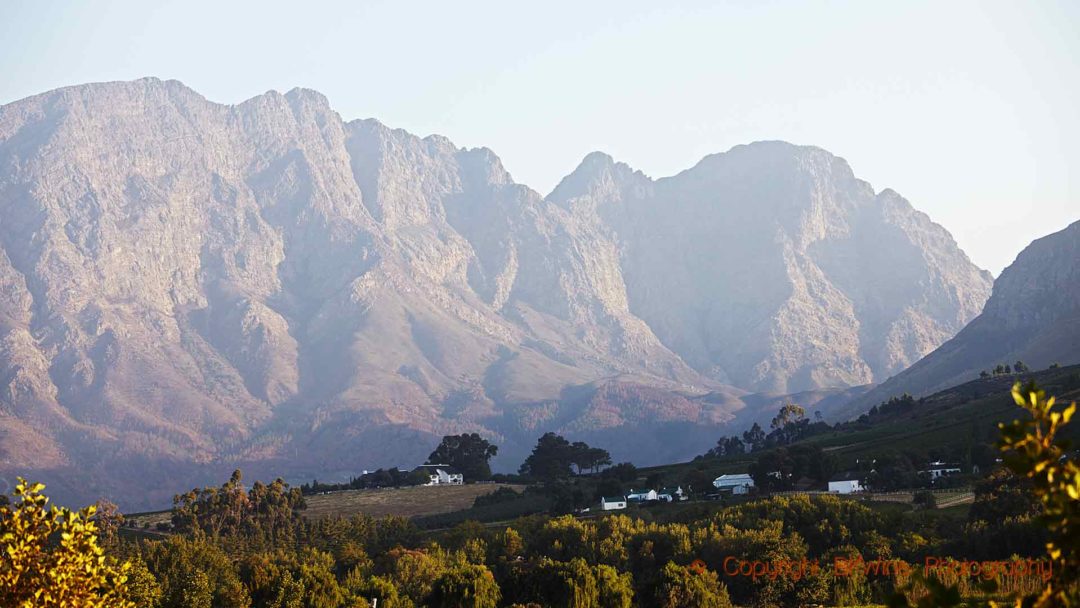 En vingård vid bergets fot i en dalgång i Franschhoek, Sydafrika
