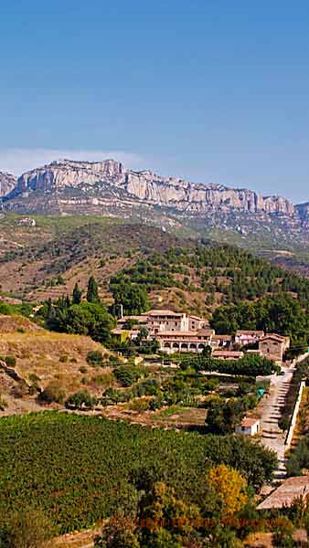 En liten vinby på sluttningen under ett berg i Priorat