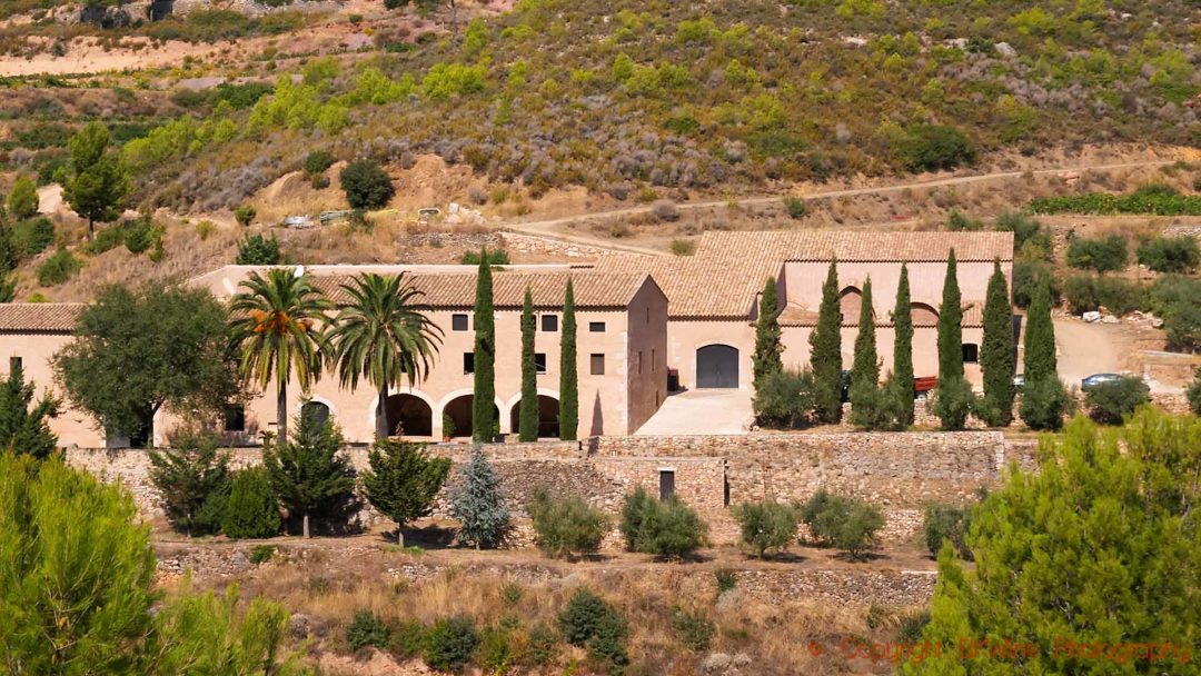 En vinanläggning med cypresser och palmer i Katalonien