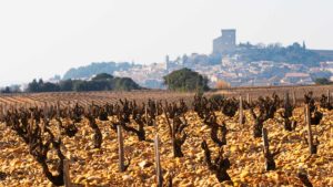 Châteauneuf-du-Pape med ruinen och stenarna i vingården