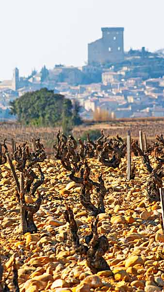 Châteauneuf-du-Pape med ruinen och stenarna i vingården