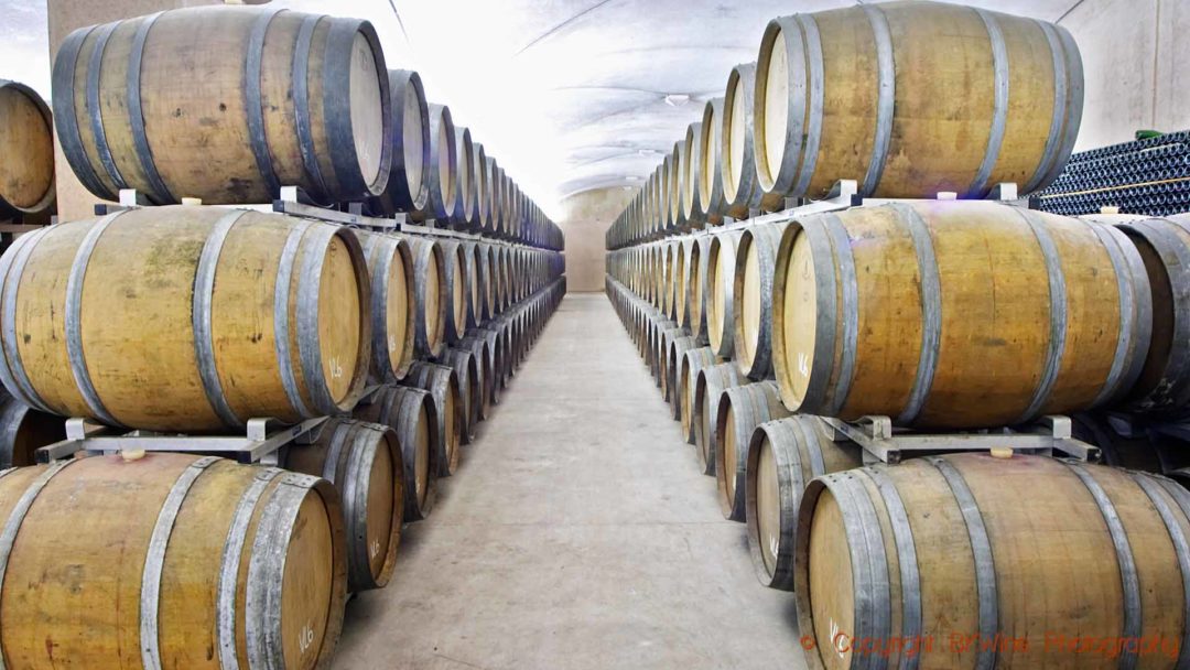 Vinkällare fylld med ekfat hos en vinproducent i Katalonien