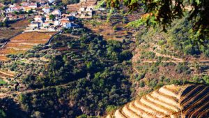 På dalens andra sida klättrar en by på vingårdssluttningen
