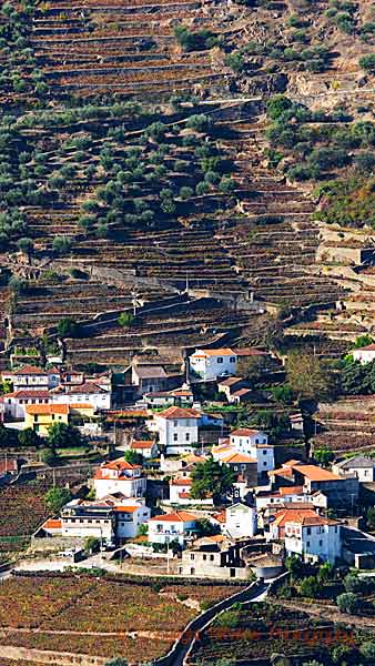 På dalens andra sida klättrar en by på vingårdssluttningen