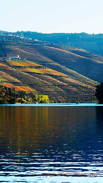 En vingård högt uppe på toppen ovan vingårdarna och floden Douro