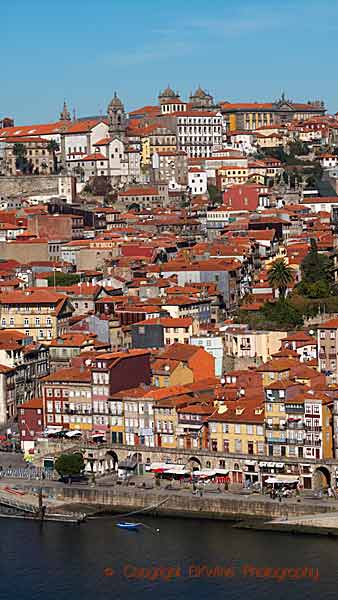 Färggranna hus längs Douros kaj i Porto