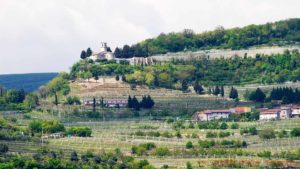 Landskap i Valpolicella, Veneto, med vingårdar och en kyrka